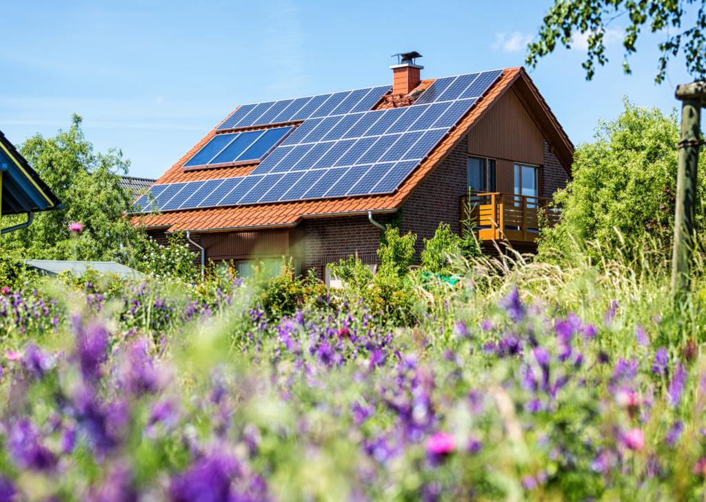 Panneaux photovoltaïques